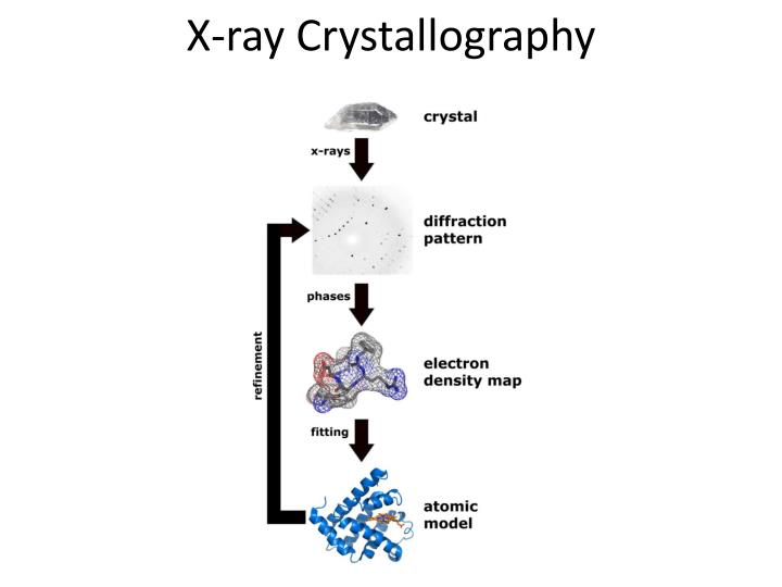 x ray crystallography