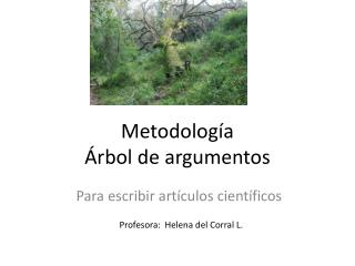 metodolog a rbol de argumentos