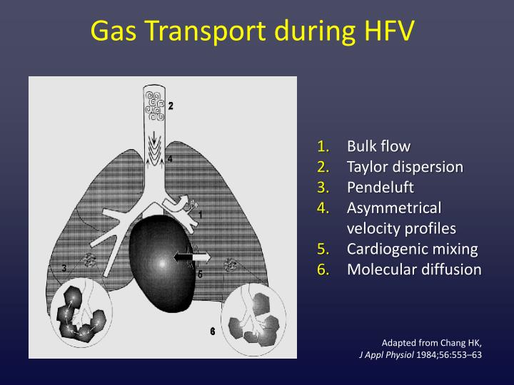 gas transport during hfv