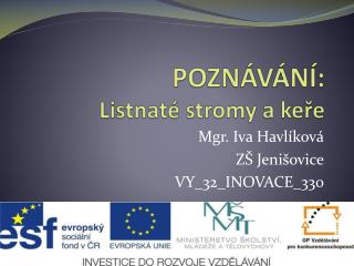 pozn v n listnat stromy a ke e