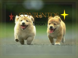 conjuntos