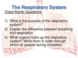 The Respiratory System