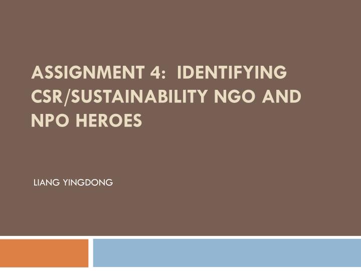 assignment 4 identifying csr sustainability ngo and npo heroes