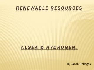 Renewable Resources Algea &amp; hydrogen.