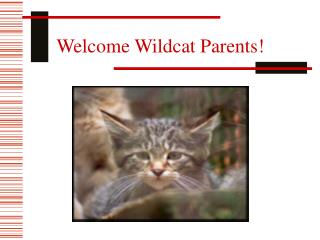 Welcome Wildcat Parents!