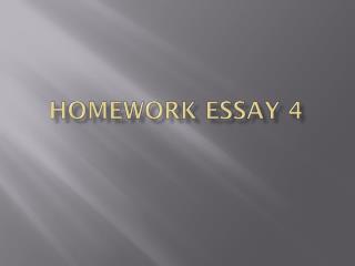 Homework Essay 4