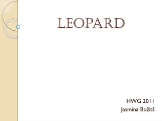 leopard