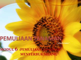 pemuliaan tanaman