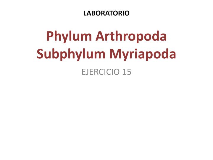 laboratorio phylum arthropoda subphylum myriapoda