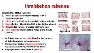 ihmiskehon rakenne