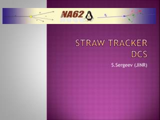 Straw Tracker DCS