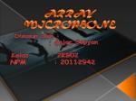 ARRAY MICROPHONE - slide 1