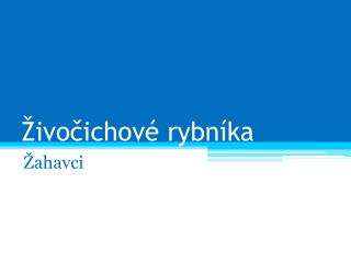 ivo ichov rybn ka