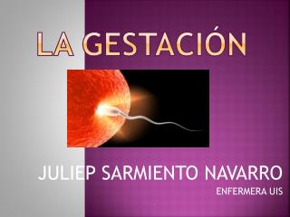 la gestaci n