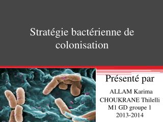 pr sent par allam karima choukrane thilelli m1 gd groupe 1 2013 2014