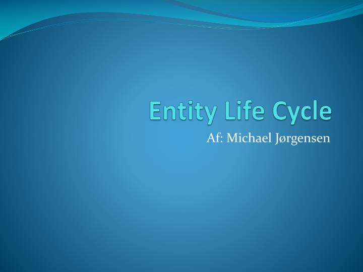 entity life cycle