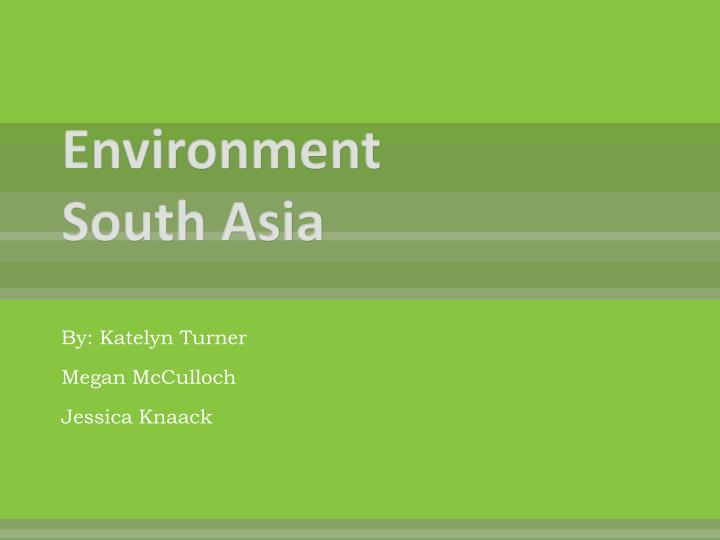 environment south asia