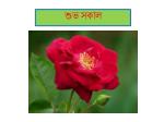 শুভ সকাল - slide 1