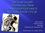 Организация профилактики правонарушений в молодёжной среде - slide 1