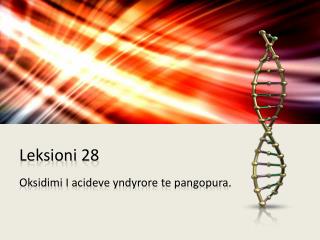 leksioni 28