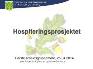 hospiteringsprosjektet