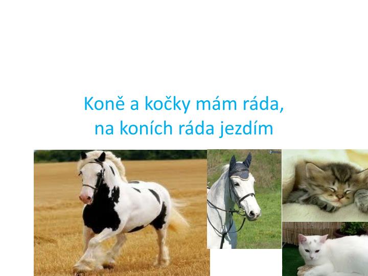 kon a ko ky m m r da na kon ch r da jezd m