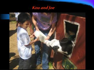 kou and joe