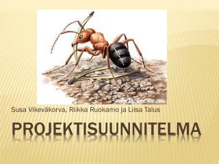 susa vikev korva riikka ruokamo ja liisa talus