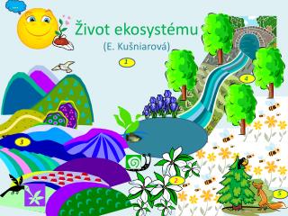 ivot ekosyst mu e ku niarov
