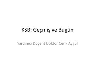 ksb ge mi ve bug n