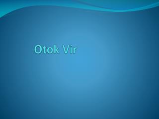 Otok Vir