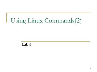 Using Linux Commands(2)