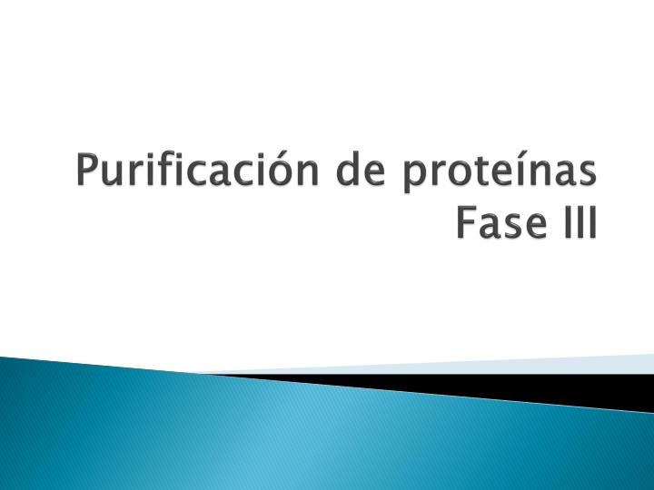 purificaci n de prote nas fase iii