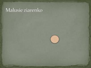 malusie ziarenko