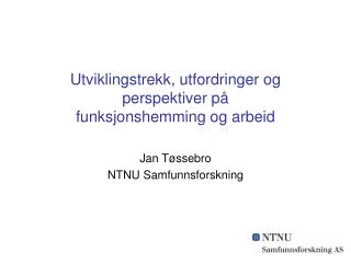 utviklingstrekk utfordringer og perspektiver p funksjonshemming og arbeid