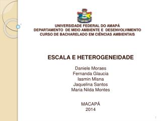 ESCALA E HETEROGENEIDADE Daniele Moraes Fernanda Glaucia Iasmin Misna Jaquelina Santos