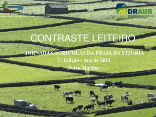 contraste leiteiro