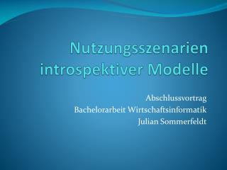 nutzungsszenarien introspektiver modelle