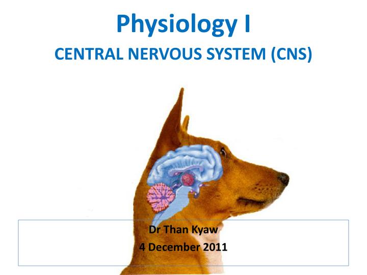 central nervous system cns