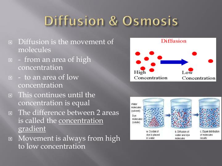 diffusion osmosis