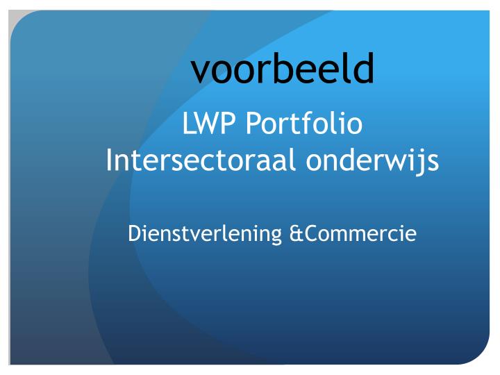 lwp portfolio intersectoraal onderwijs