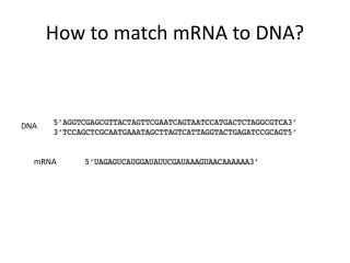 How to match mRNA to DNA?