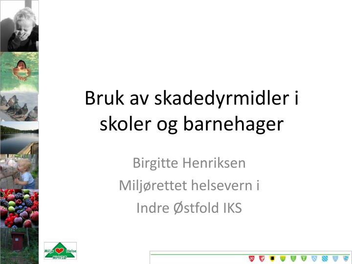 bruk av skadedyrmidler i skoler og barnehager