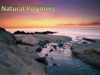 Natural Polymers