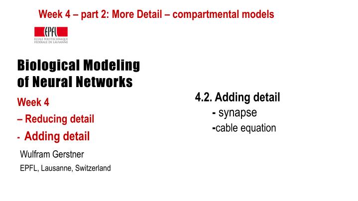 biological modeling of neural networks