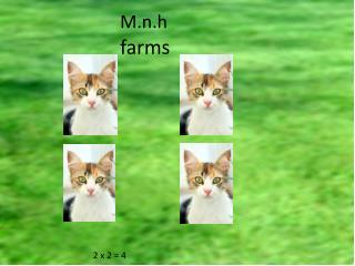 M.n.h farms