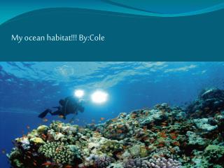 My ocean habitat!!! By:Cole
