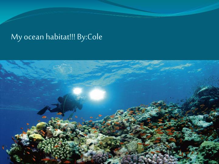 my ocean habitat by cole