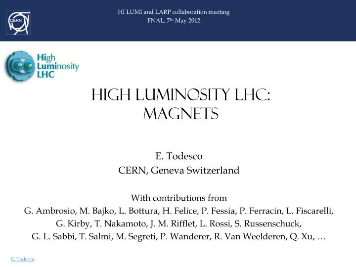 high luminosity lhc magnets