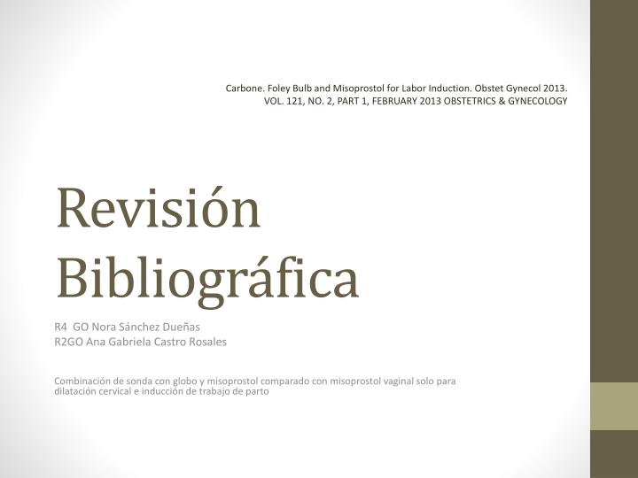 revisi n bibliogr fica